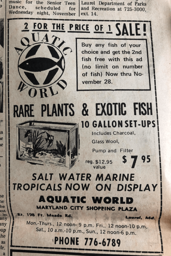 Screen Shot 2018-08-26 at 5.25.12 PM